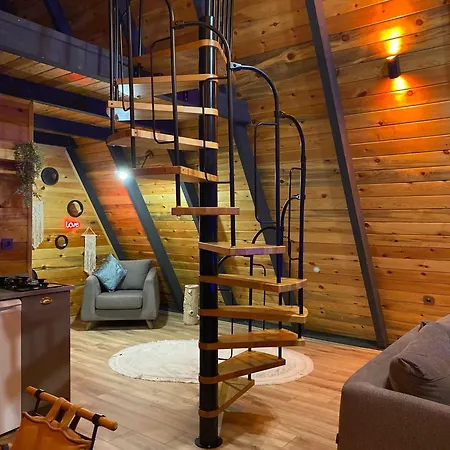 Dağ evi Olivia Sapanca